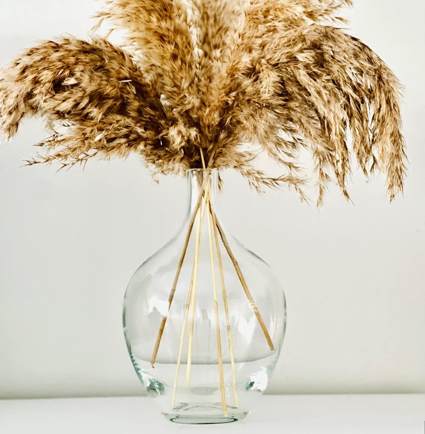 Small Glass Decorative Vase for Pampas Grass Flowers for Decor for Dining Table Centerpiece for Living Room Home, Shelf, Demijohn, 7.9 inch Tall, Clear