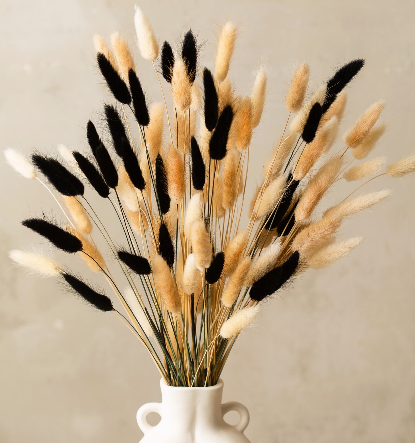 100pcs Bunny Tails Pampas Grass Dried Flowers Bouquet - 30 White Bunny Tails, 40 Natural Bunny Tail Grass, 30 Black Bunny Tails