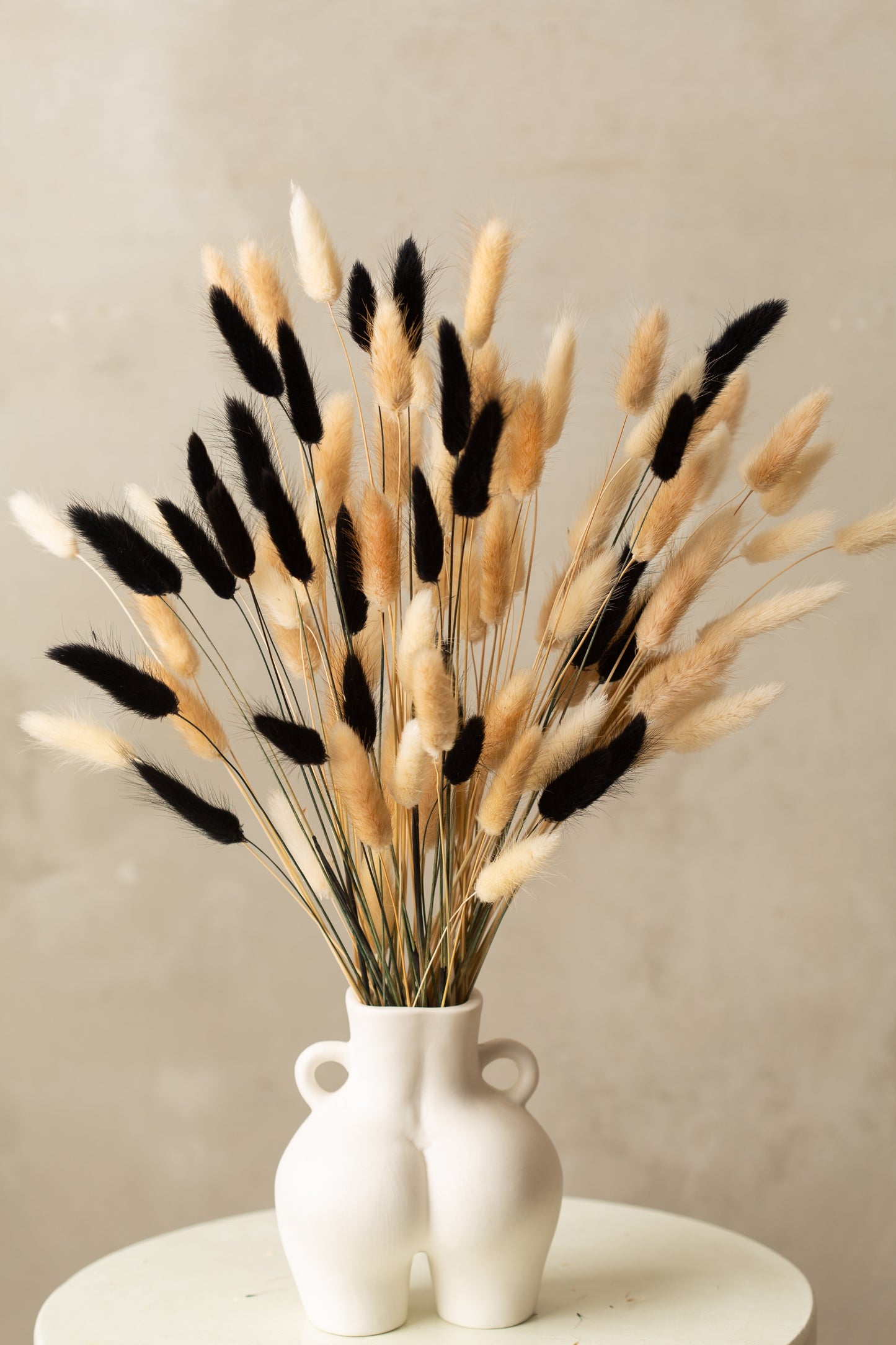 100pcs Bunny Tails Pampas Grass Dried Flowers Bouquet - 30 White Bunny Tails, 40 Natural Bunny Tail Grass, 30 Black Bunny Tails